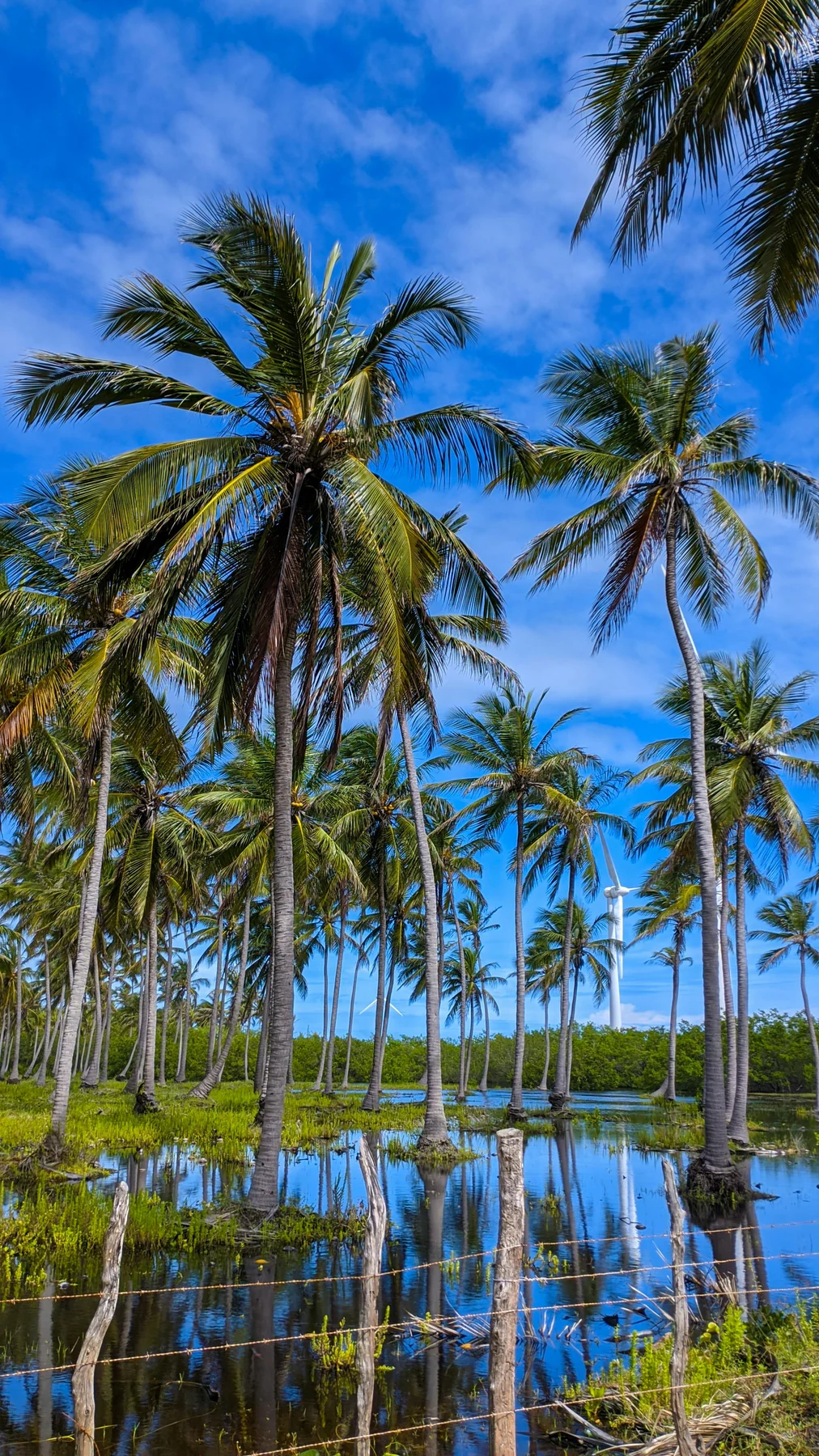 Morro de São Paulo — Salvador, Bahia · foto por Manu Martins