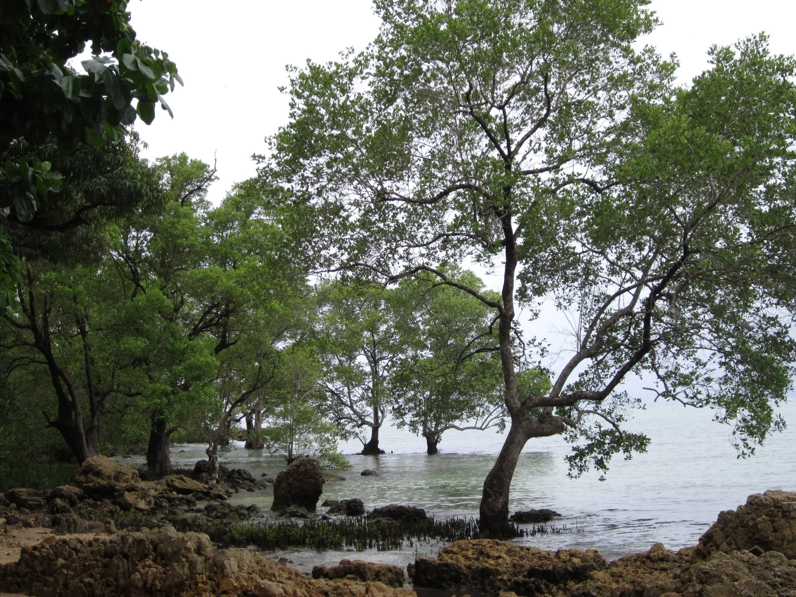 Ilha de Boipeba na Bahia.jpg